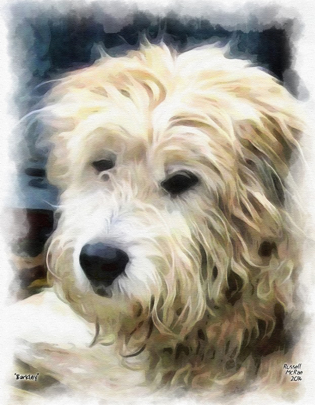 Pet Portraits