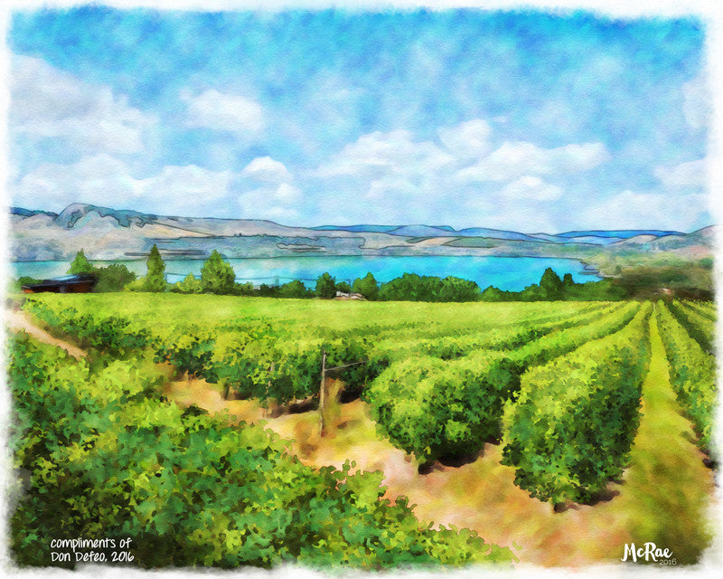 Vineyard Bounty