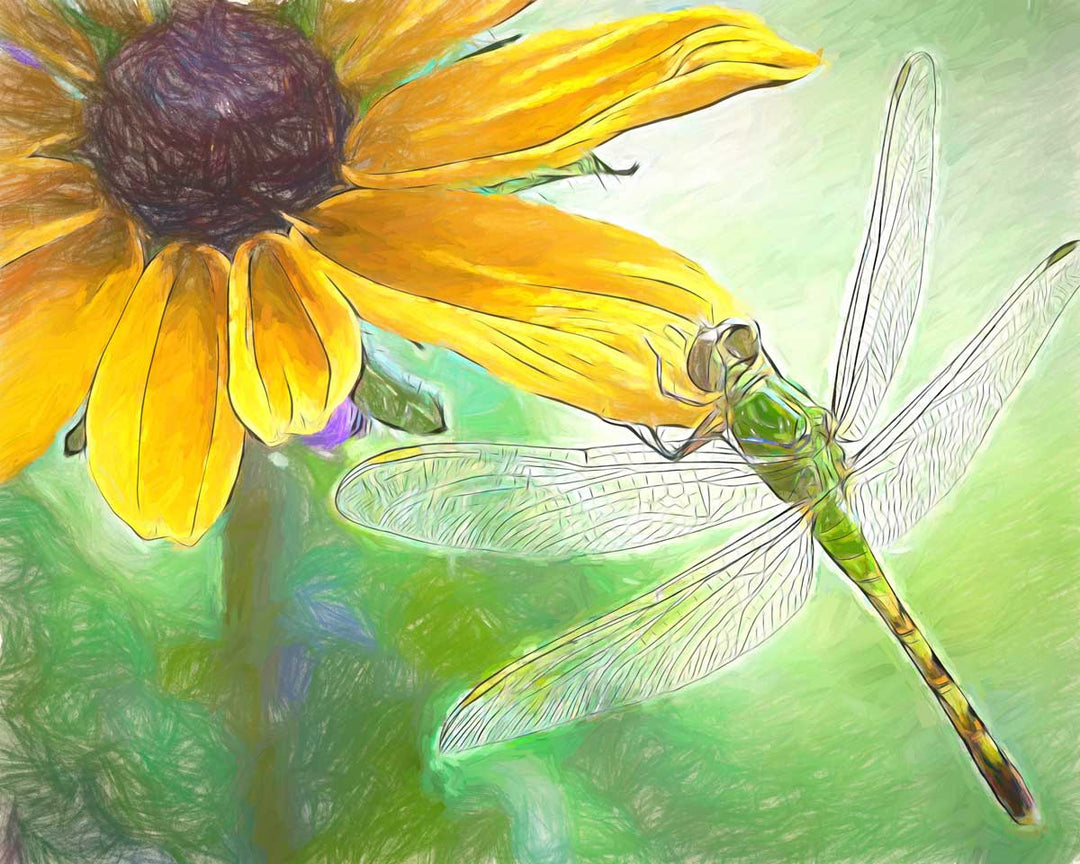 Dragonfly painting.