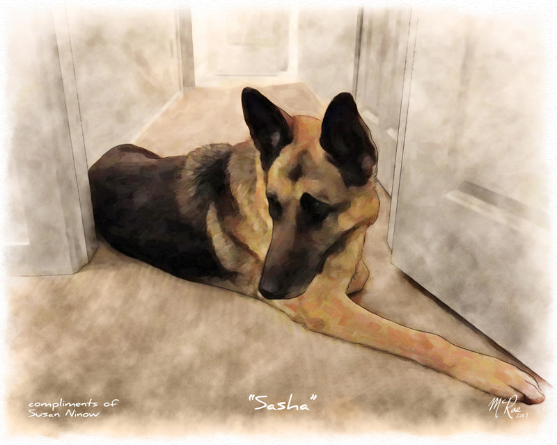 Compliments of Susan Ninow