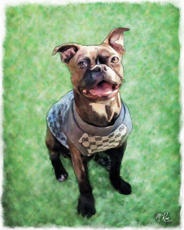 Compliments of van doan