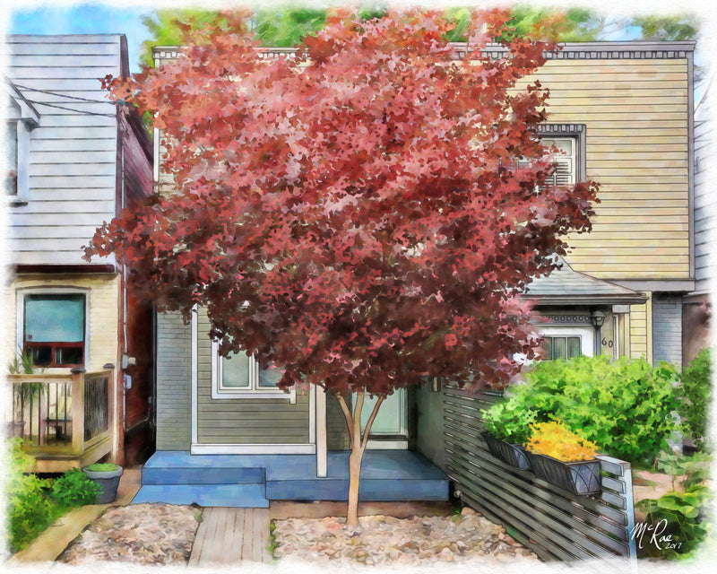 Compliments of Rodrigo Robalino