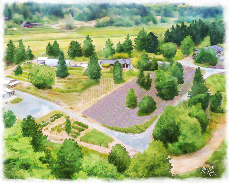 Compliments of Sandra Carswell