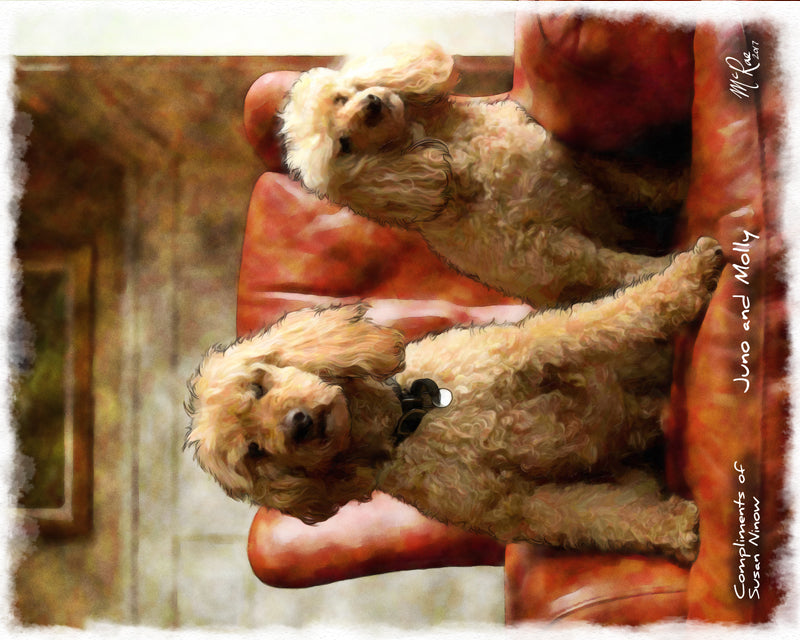 Compliments of Susan Ninow