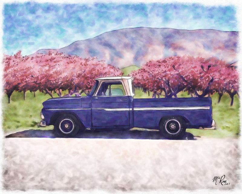 Compliments of Donna Hoover