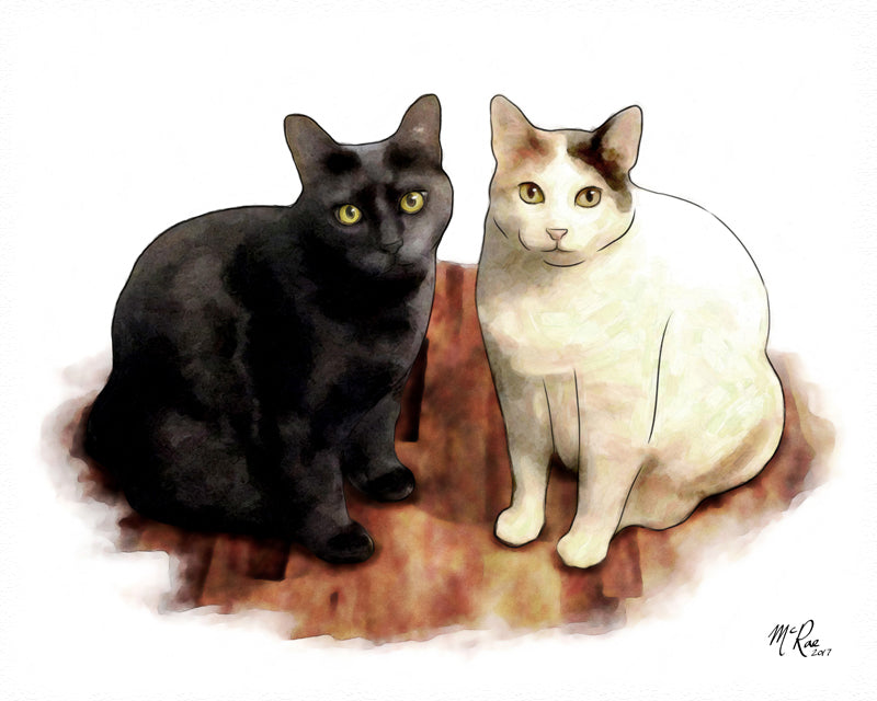 Compliments of John Barbisan