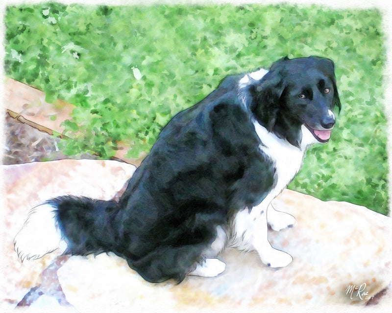 Compliments of Collen Jasper