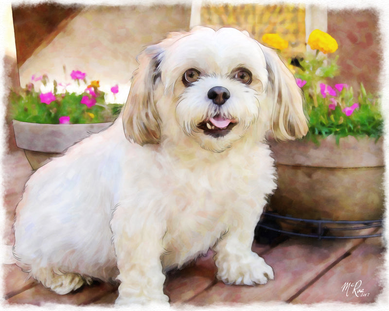 Compliments of Joe Kirk