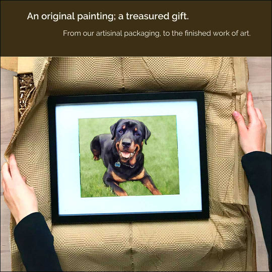 Pet Portraits